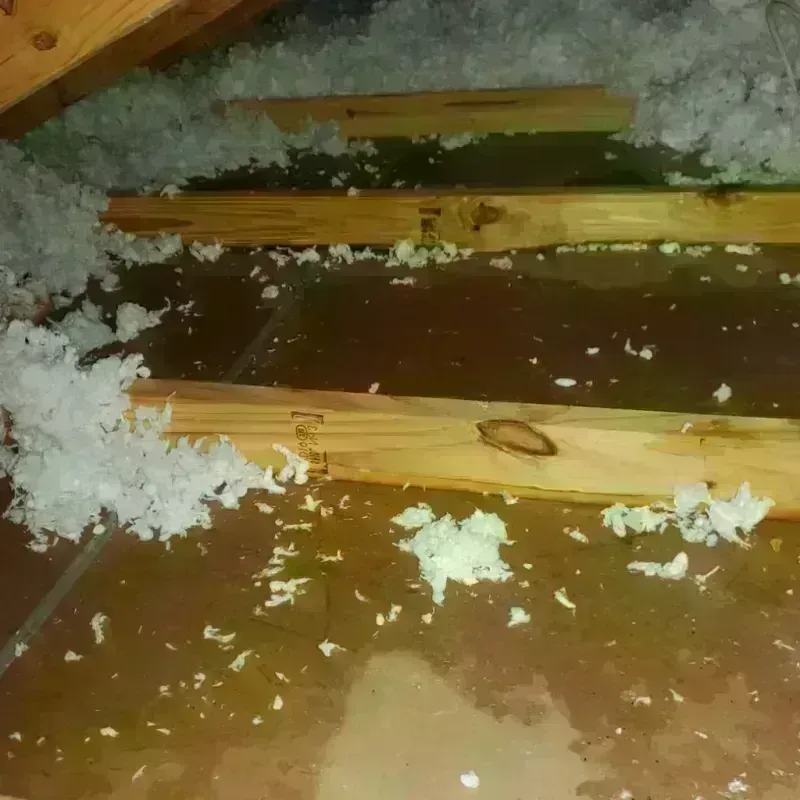 Attic Water Damage in Riverdale, NJ