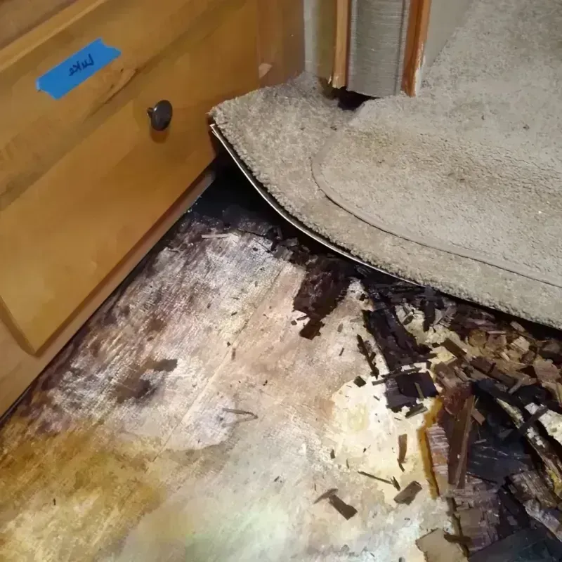 Wood Floor Water Damage in Riverdale, NJ